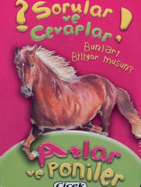 Sorular Ve Cevaplar Kart Atlar Ve Poniler