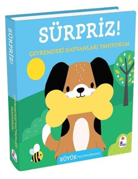 Sürpriz! - Çevremdeki Hayvanları Tanıyorum