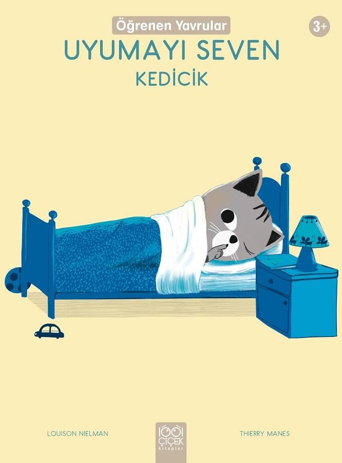 Uyumayı Seven Kedicik - Öğrenen Yavrular