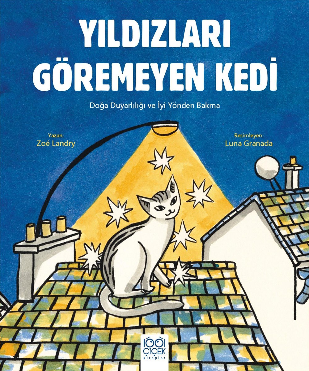 Yıldızları Göremeyen Kedi