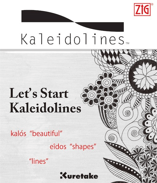 ZIG EĞİTİM KİTAPÇIĞI DESEN KALEIDOLINE INTX300-801