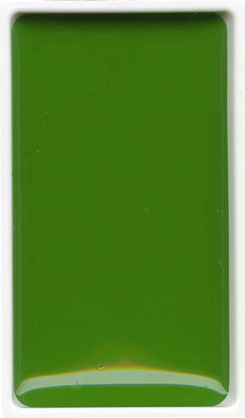ZIG SULUBOYA GANSAI TAMBI TABLET MC21- 53 SAP GREEN