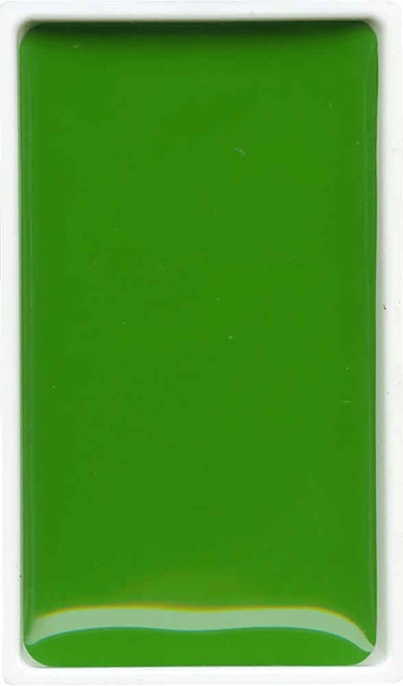 ZIG SULUBOYA GANSAI TAMBI TABLET MC21- 51 SAP GREEN LIGHT