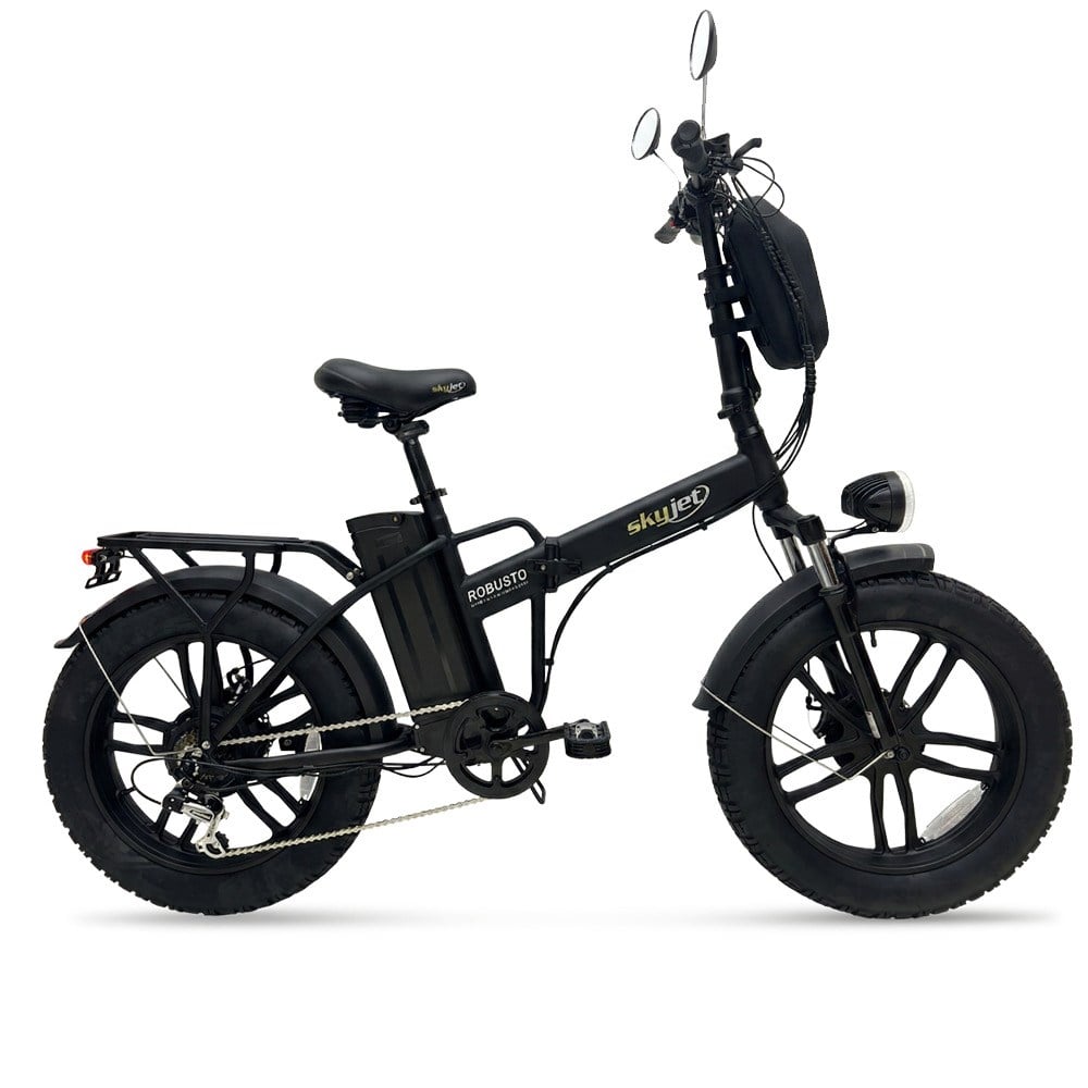 RKS SKYJET E-BİSİKLET ROBUSTO PREMİUM 750 W