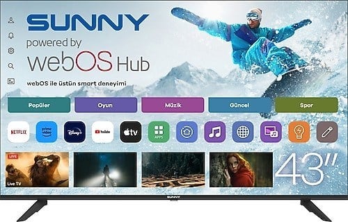 SUNNY TV SN43FMLN-W02S 43