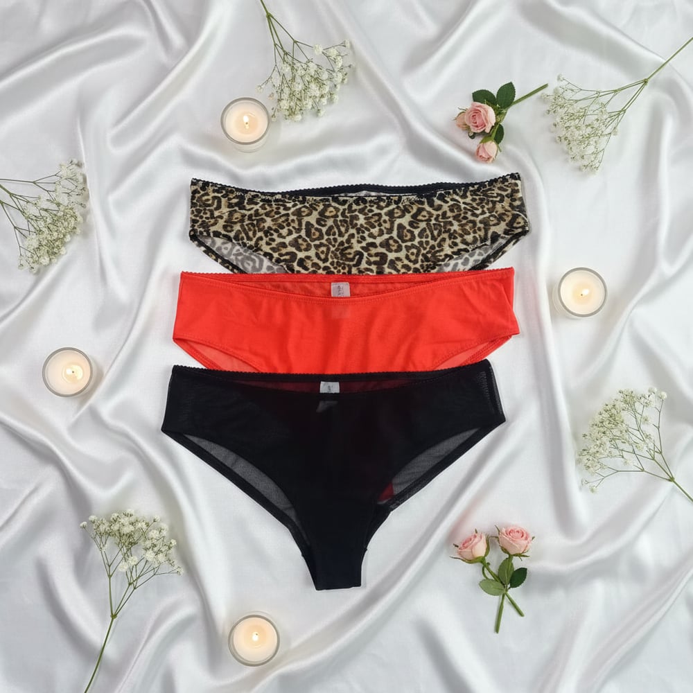 Kadın 3 lü Desenli Külot Set BB2147