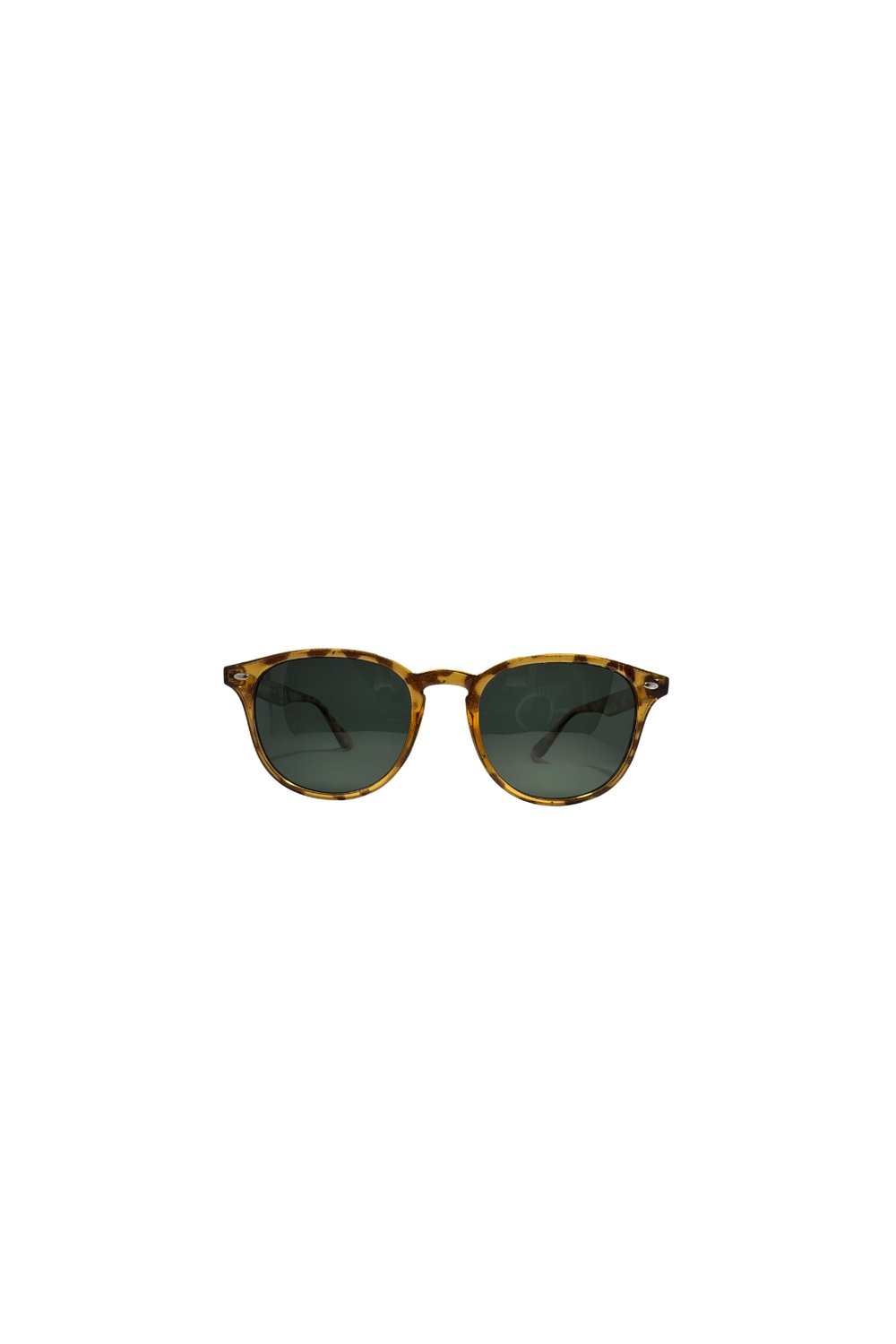 swing-ss244-polarize-gunes-gozlugu-869c28.png