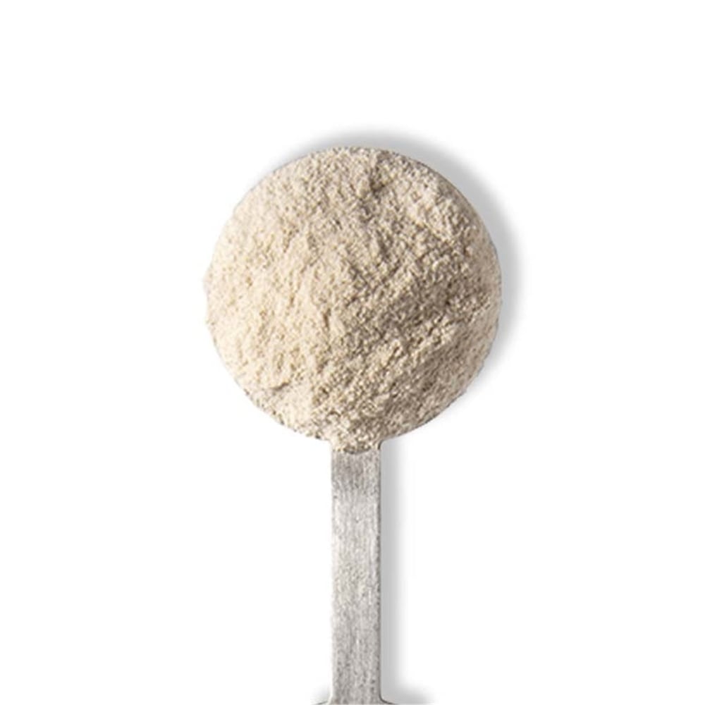 SALEP