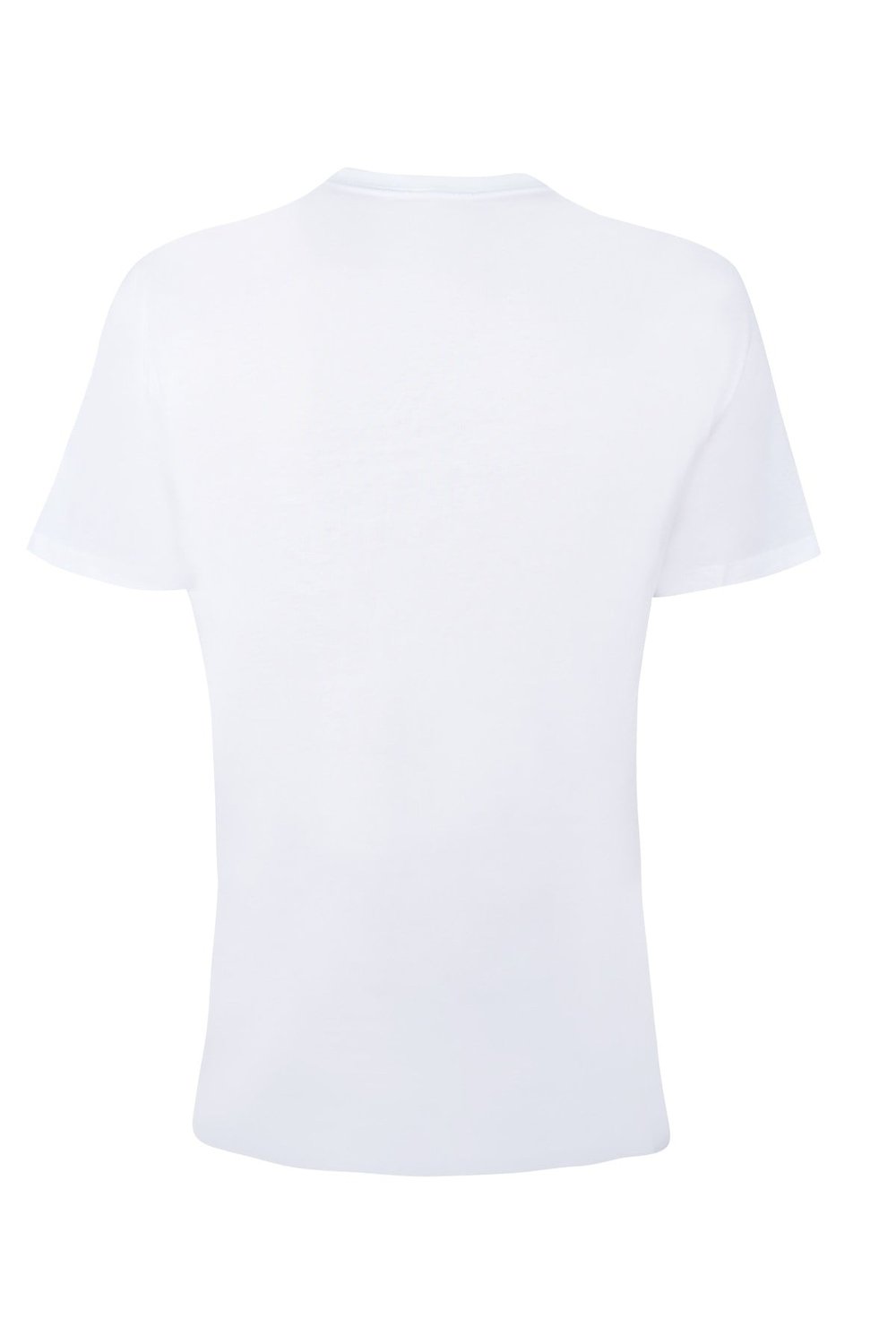 CALVIN KLEIN ERKEK T-SHIRT 40BM828-110