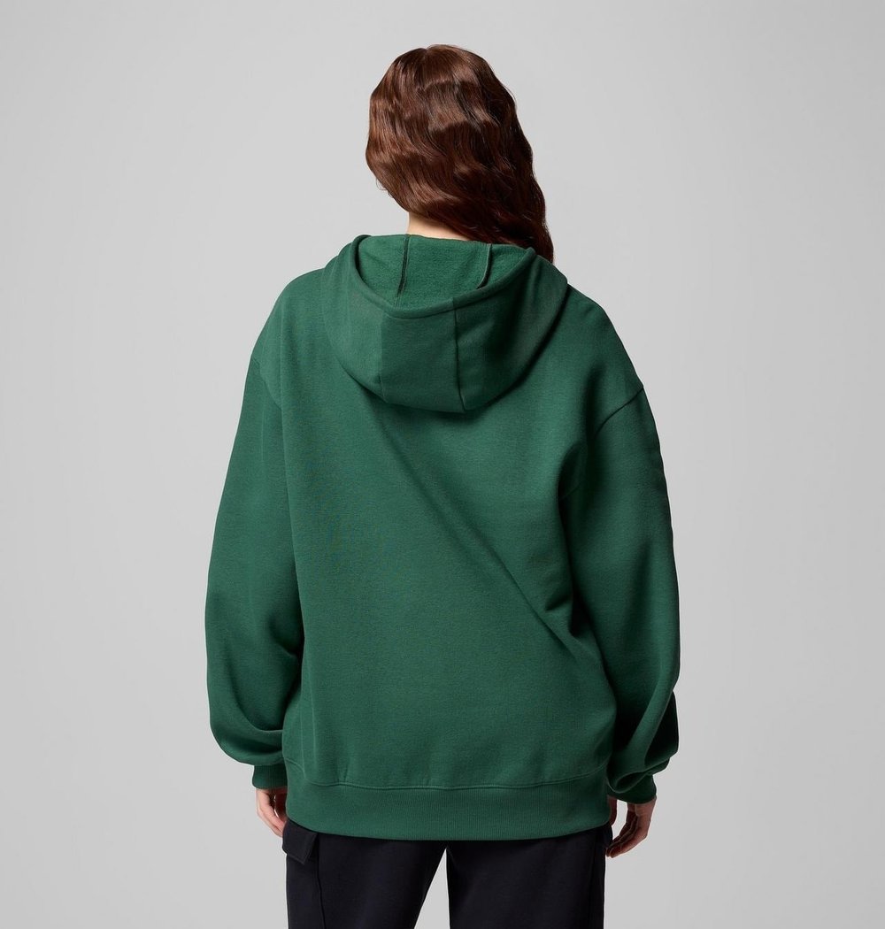 COLUMBIA ALDERMORE KADIN SWEATSHIRT 2123001-375