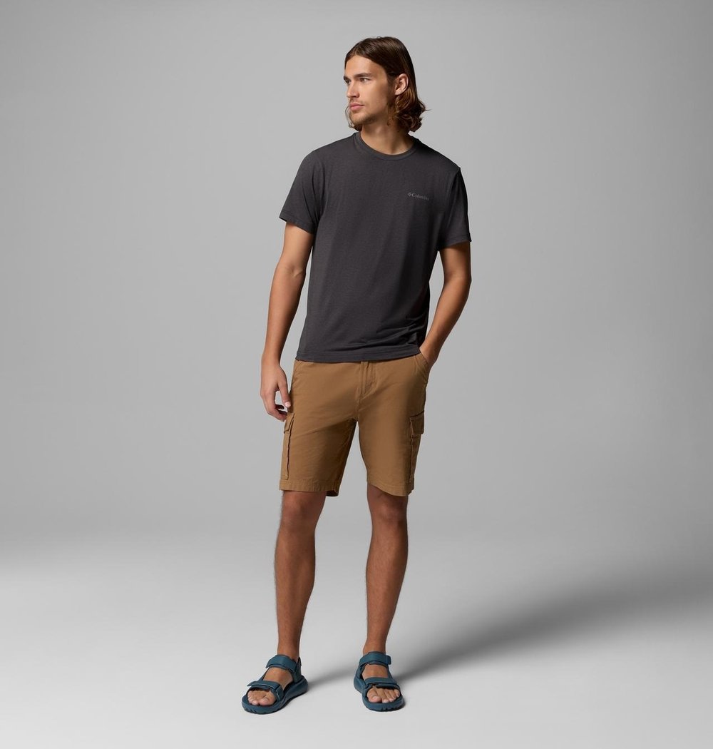 COLUMBIA PARSONS POINT ERKEK T-SHIRT 2165081-011