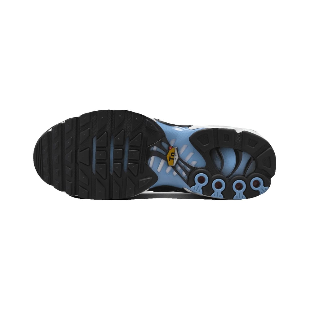 NIKE AIR MAX PLUS KADIN AYAKKABI HF5386-001