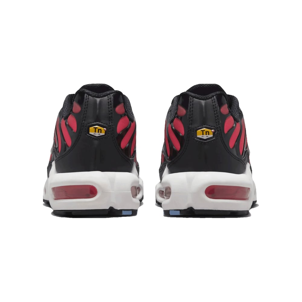 NIKE AIR MAX PLUS KADIN AYAKKABI HF5386-001