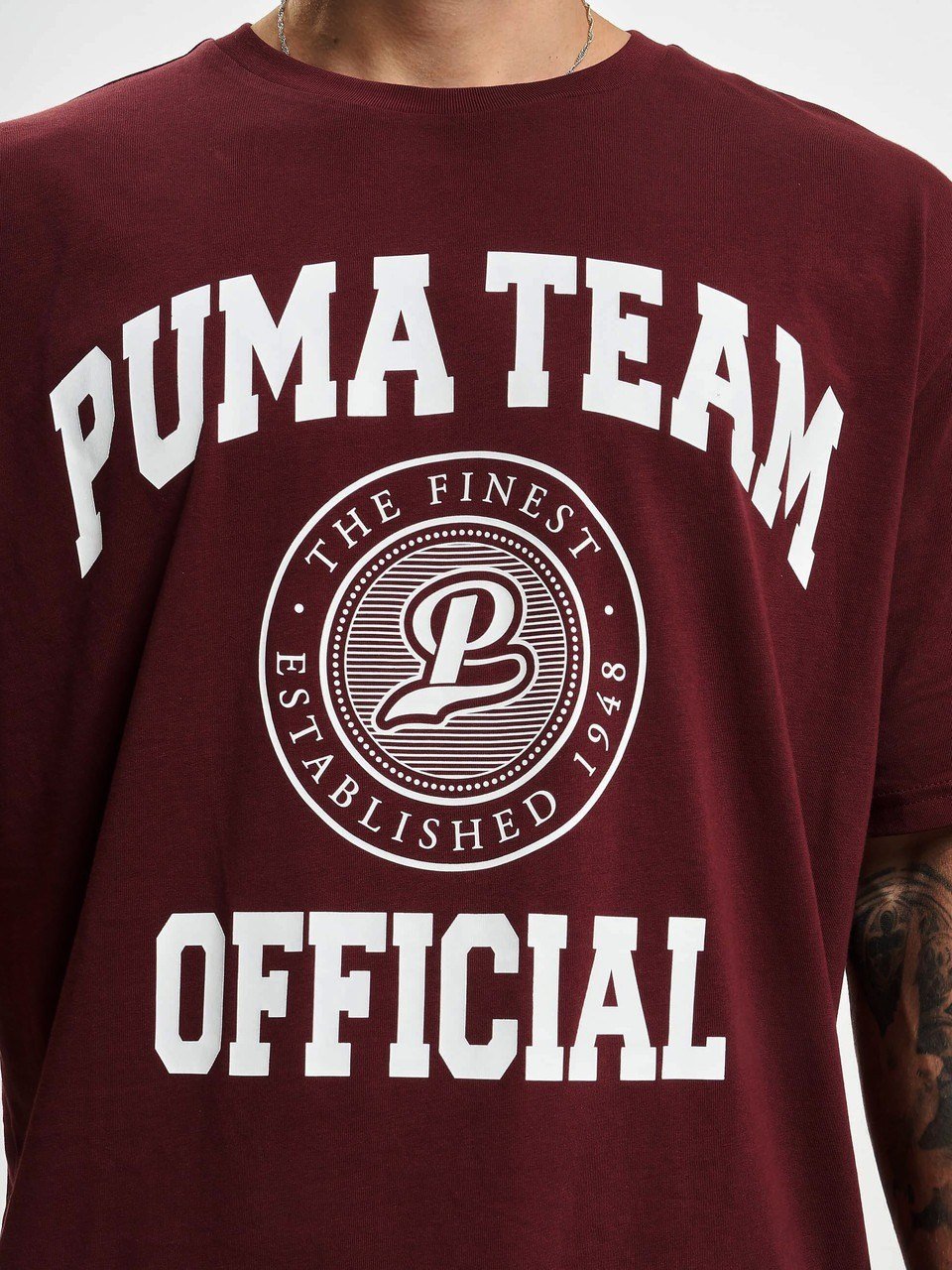 PUMA TEAM GRAPHIC ERKEK T-SHIRT 538898-42