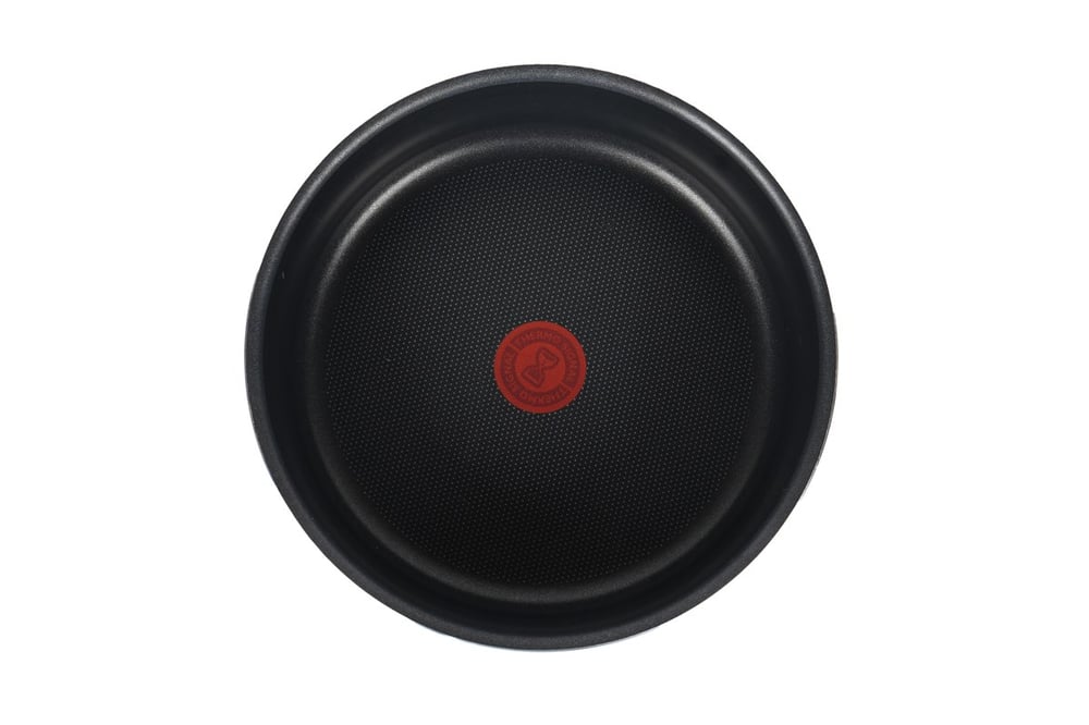 TEFAL 2 Lİ TAVA SETİ 24+20 CM 9325595210