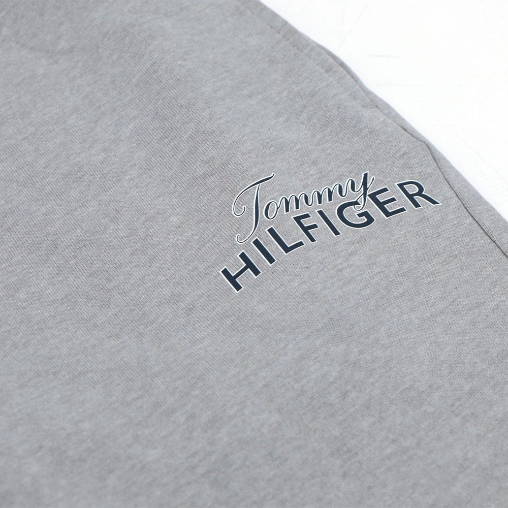 TOMMY HILFIGER ERKEK ŞORT 09T4153-004