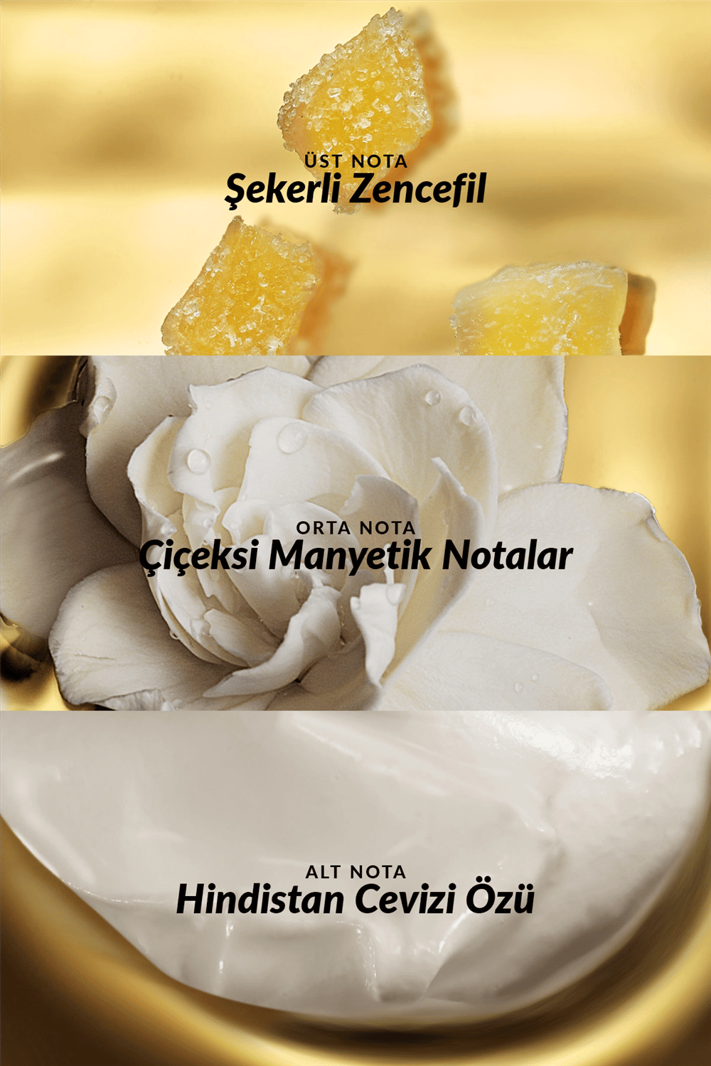 Attraction Intense Kadın EDP - 100ml