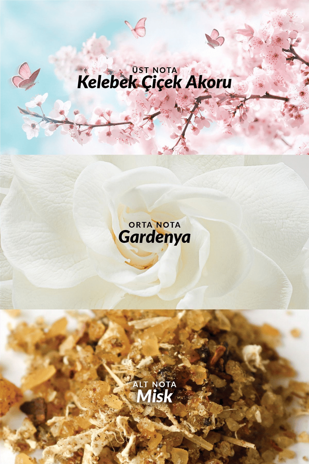 Eve Become EDP - 50ml