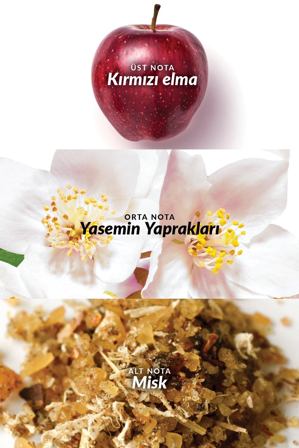 Eve Prive Kadın EDP 50ml