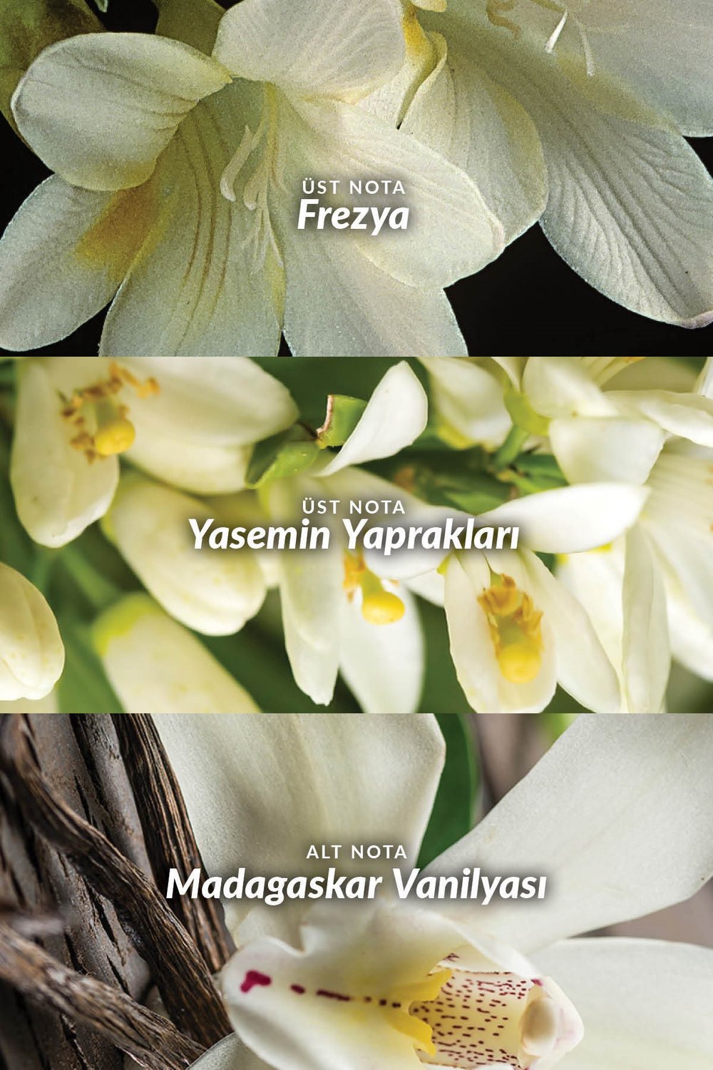 Far Away Kadın EDP - 10ml