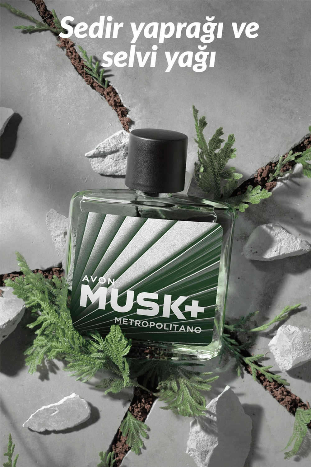 Musk Metropolitano Erkek EDT - 75ml