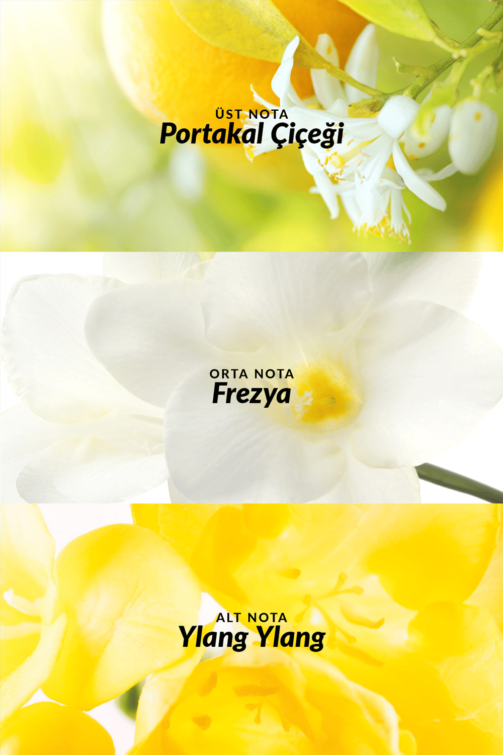 TTA Today Kadın EDP - 10ml