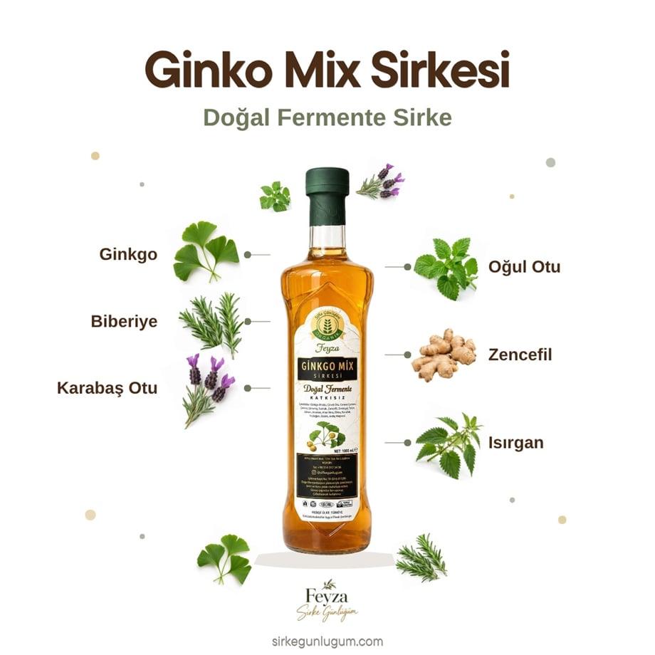 Ginko Mix Sirkesi