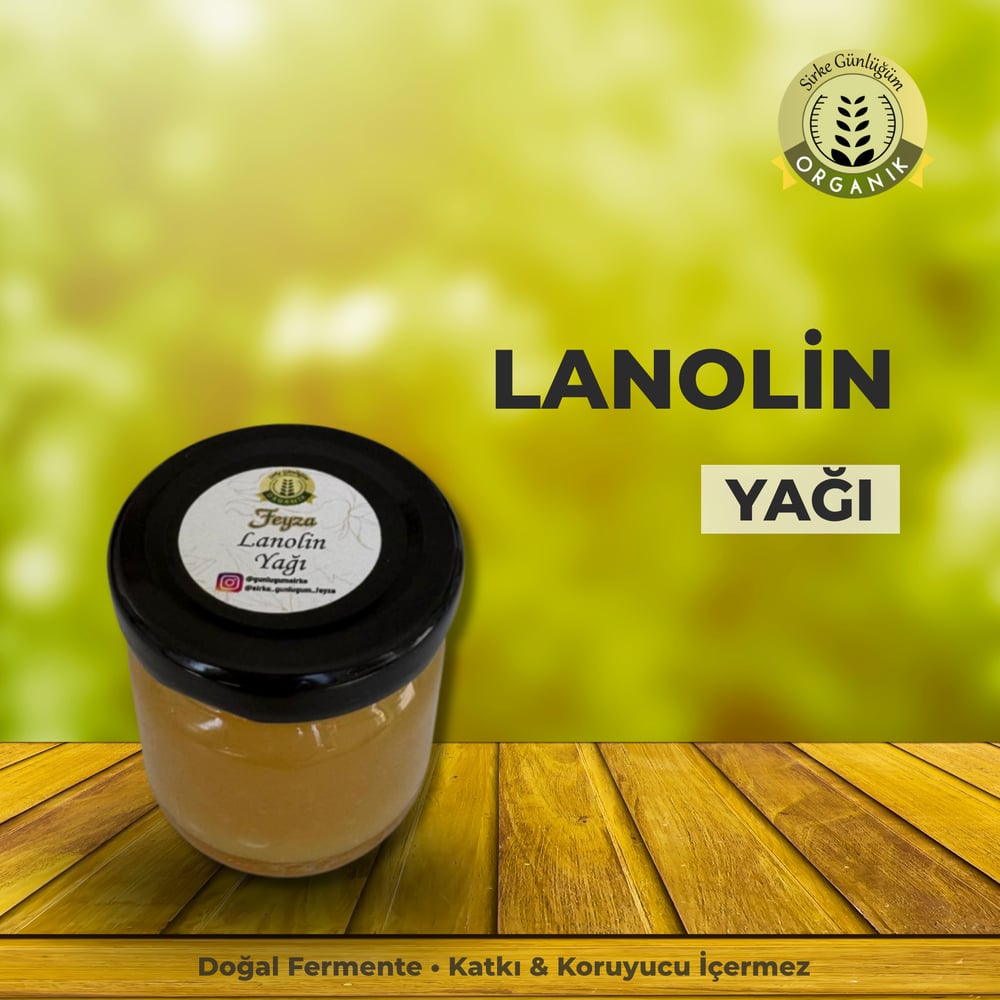 Lanolin Yağı