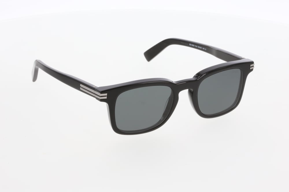 ERMENEGİLDO ZEGNA 0230 01A 50/22