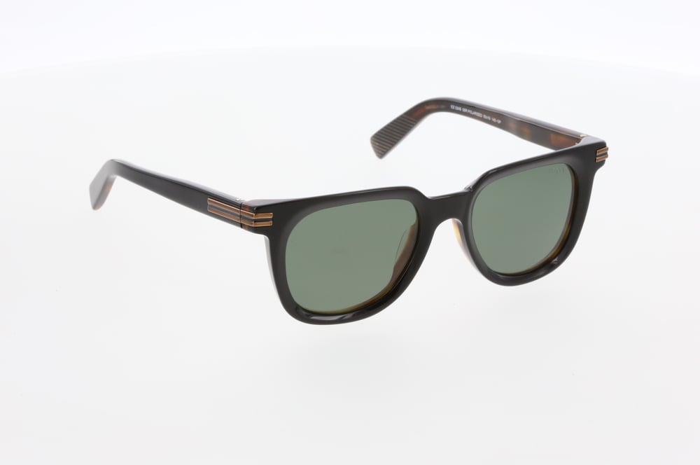 ERMENEGİLDO ZEGNA 0248 05R 50/19