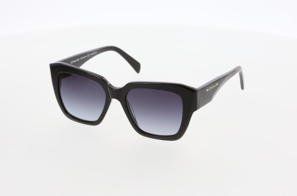 OSSE 3589 01 51/17