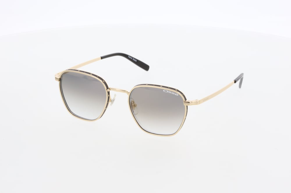 OSSE 3603 01 53/20