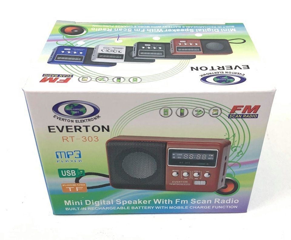 Everton RT-303 Mini Digital Radyo