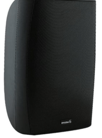 Osawa OSW-8TS 220 Watt 92 dB Trafolu 20 cm Siyah Duvar Hoparlörü - Adet