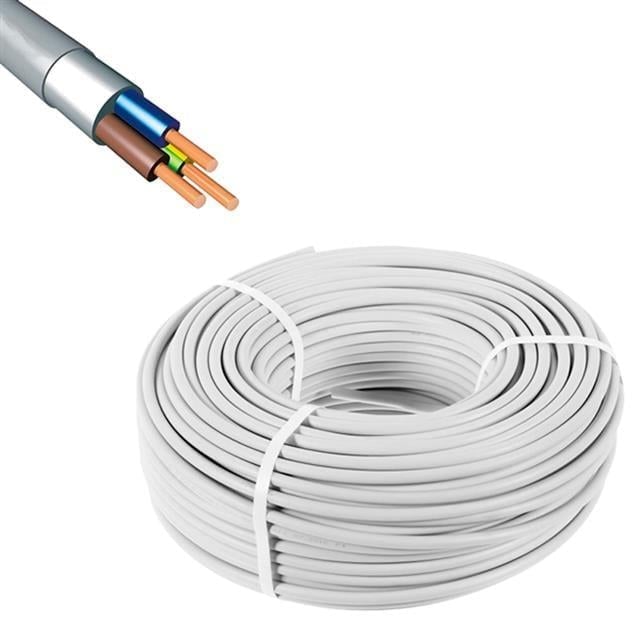 PowerMaster 3X2.5 CCA TTR Kablo (100 Metre)
