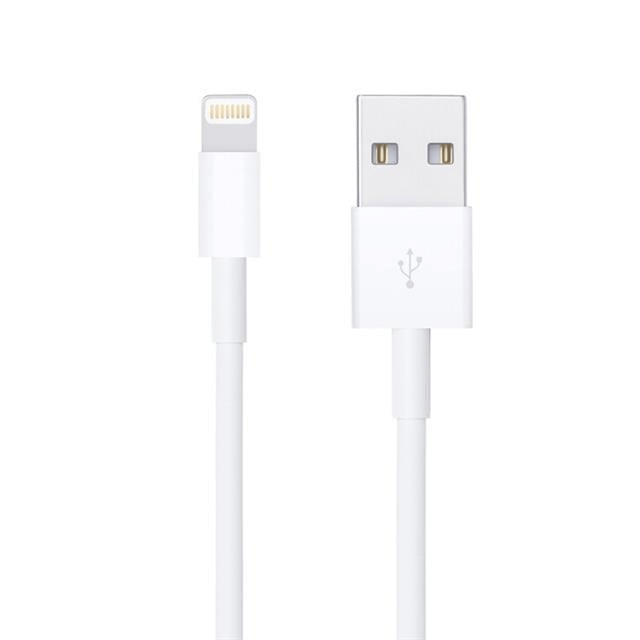 PowerMaster DK-18295 Lightning 1 Metre Iphone Şarj-Data Kablosu
