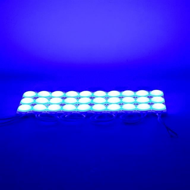 Powermaster 24 Volt 1.5 Watt Mavi 2835 Cob Modül Led