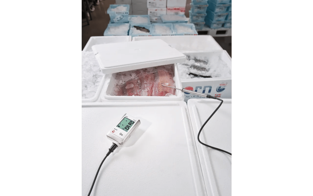 Testo 175 T2 Sıcaklık Data Logger