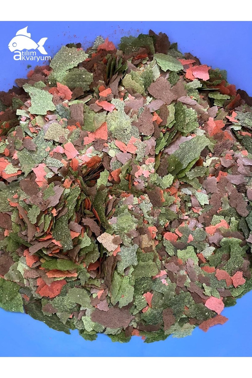 Pro Lepistes Yemi, Tetra, Plati, Molly vb. Balık Yemi Yüksek Protein ve Yosun İçerikli 500 GRAM