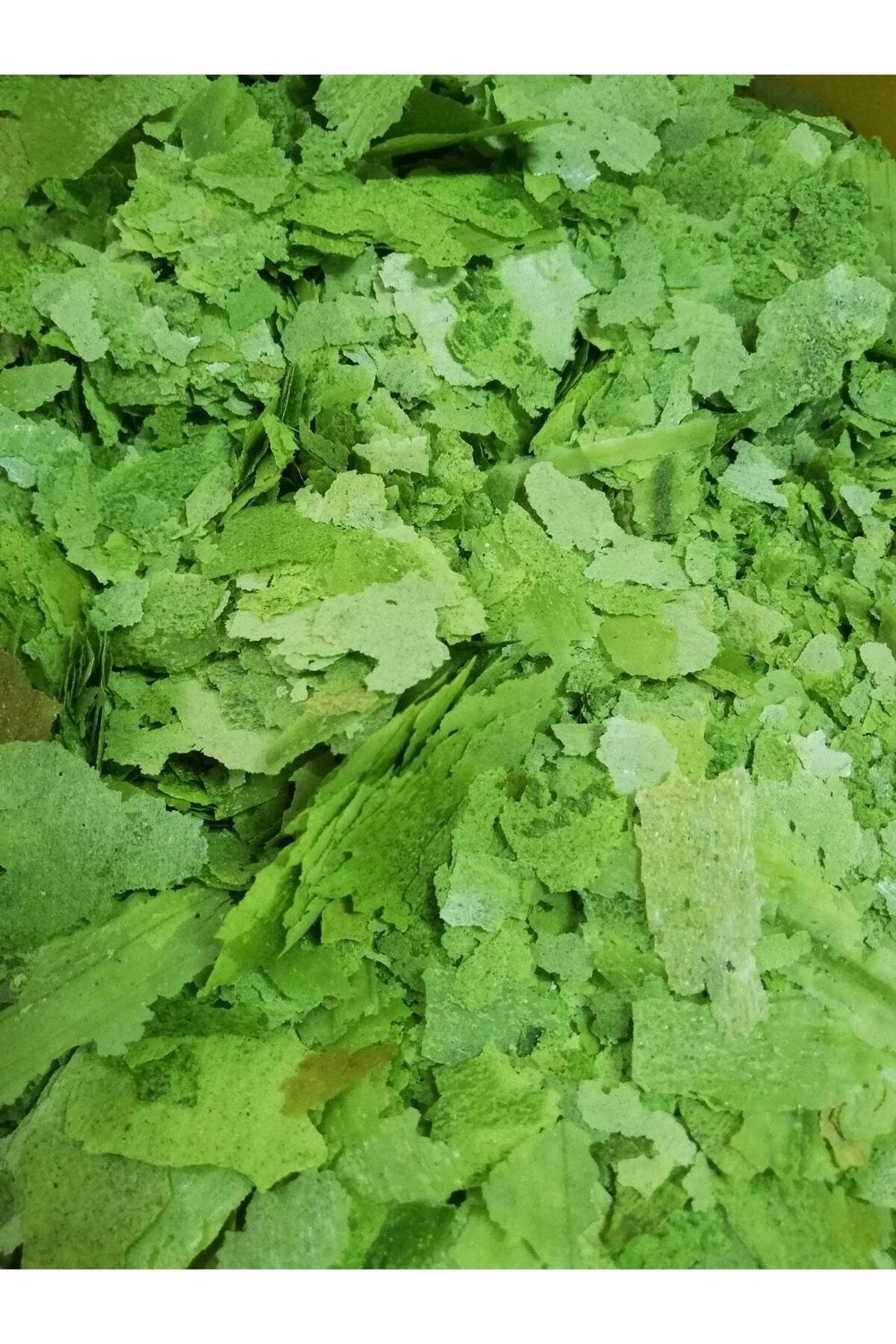 Spirulinalı Pul Yem, Lepistes Yemi, Cichlid Balık Yemi 100 gram