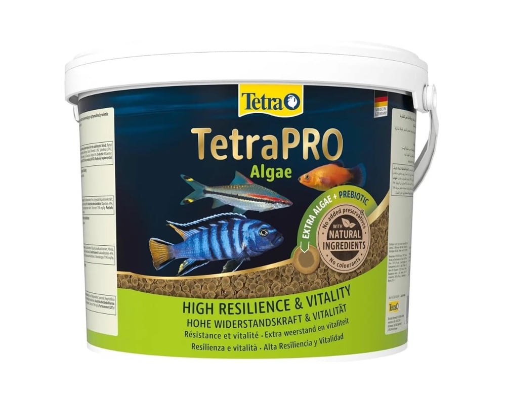 Tetra Pro Algae Crisps Otçul Balık Yemi 10 Lt Kova
