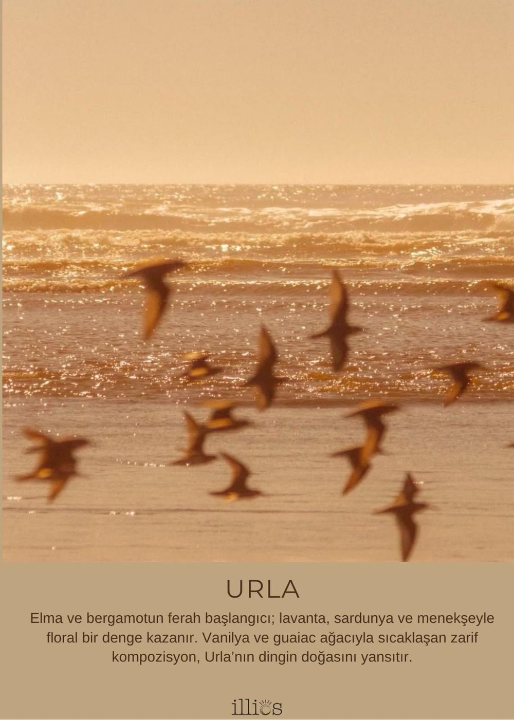 Urla Roll Parfum
