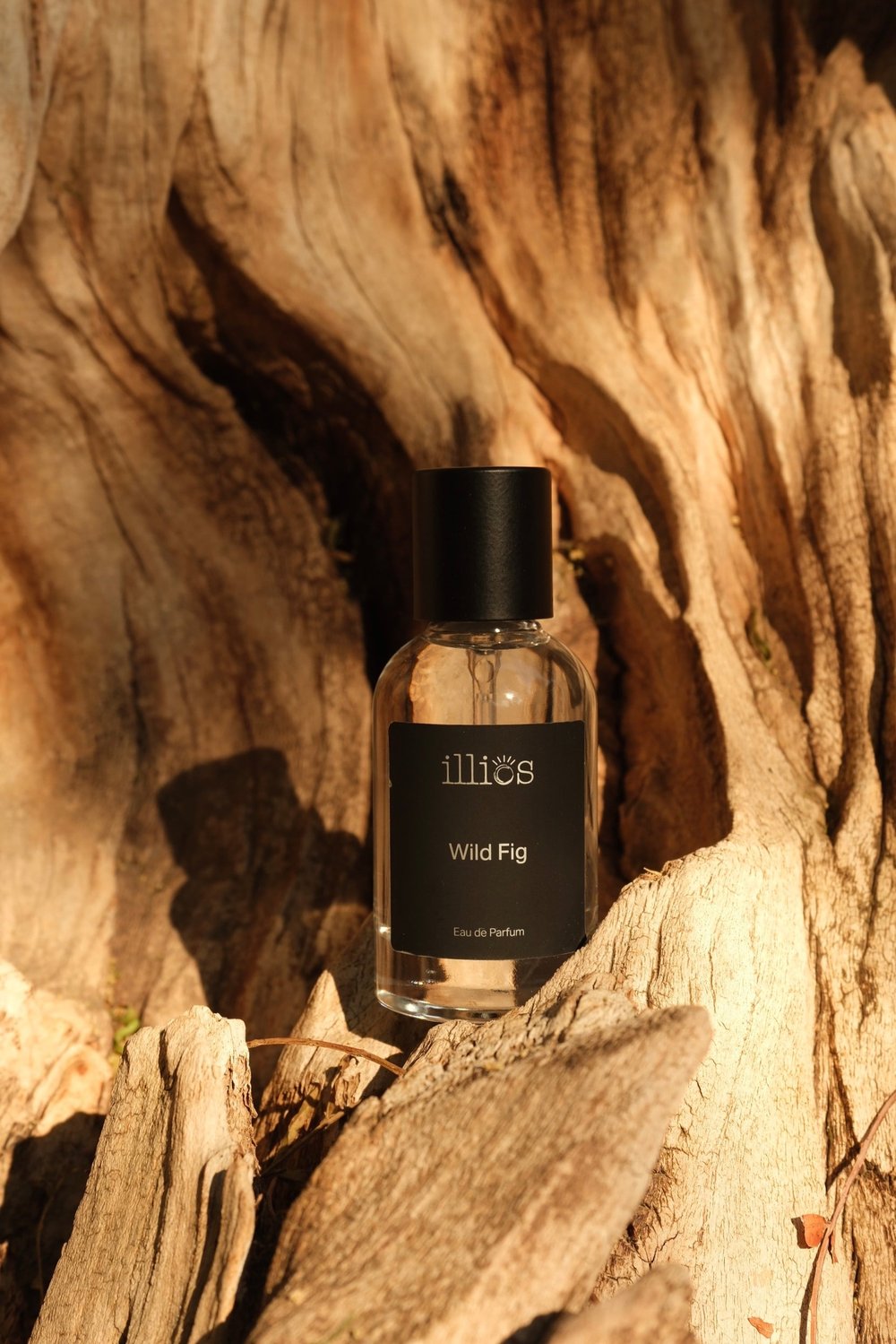 Wild Fig  Eau de Parfum- 50 ml