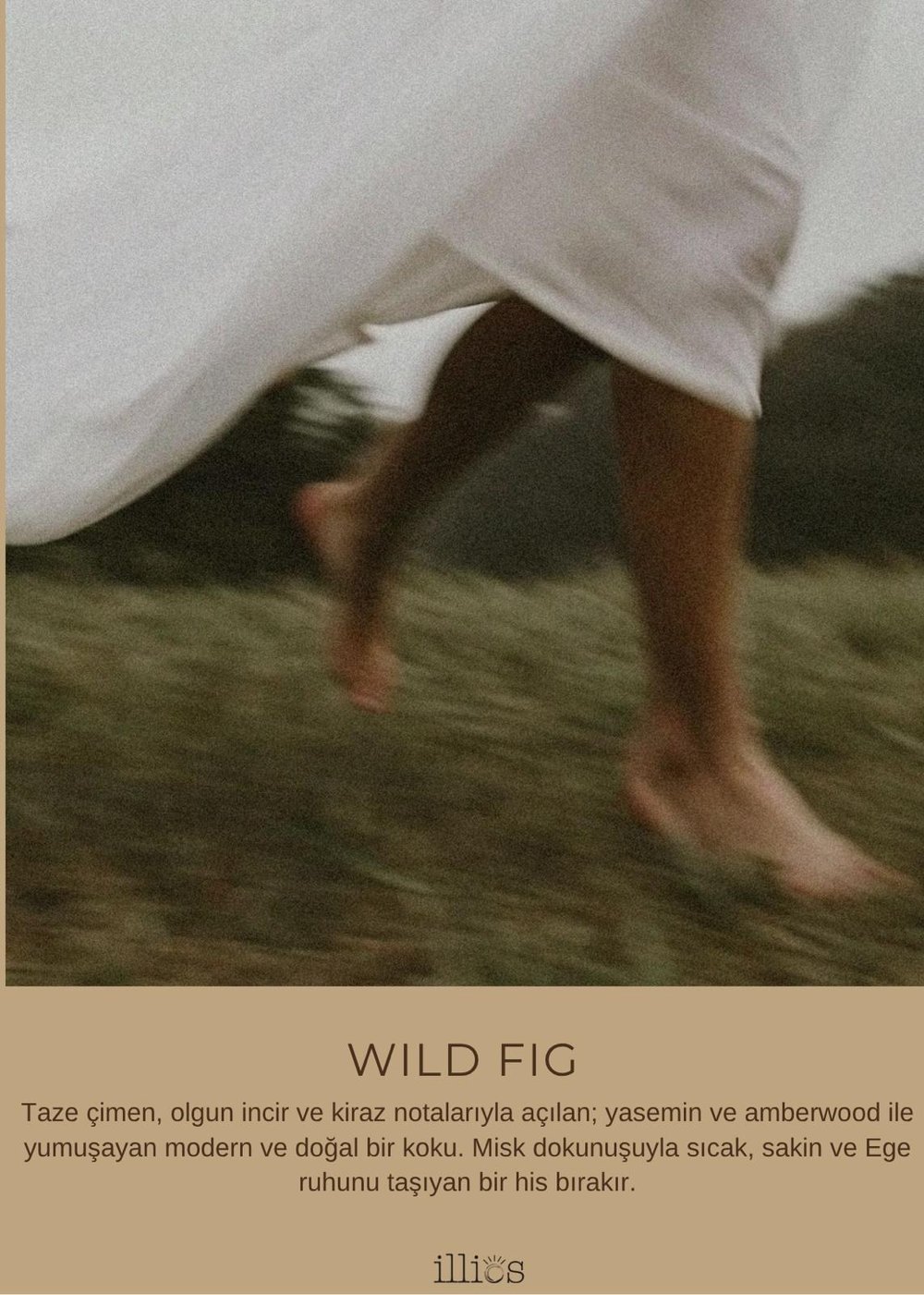 Wild Fig Roll Parfum