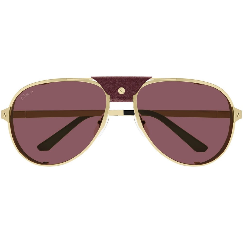 CARTIER CT0296S 61