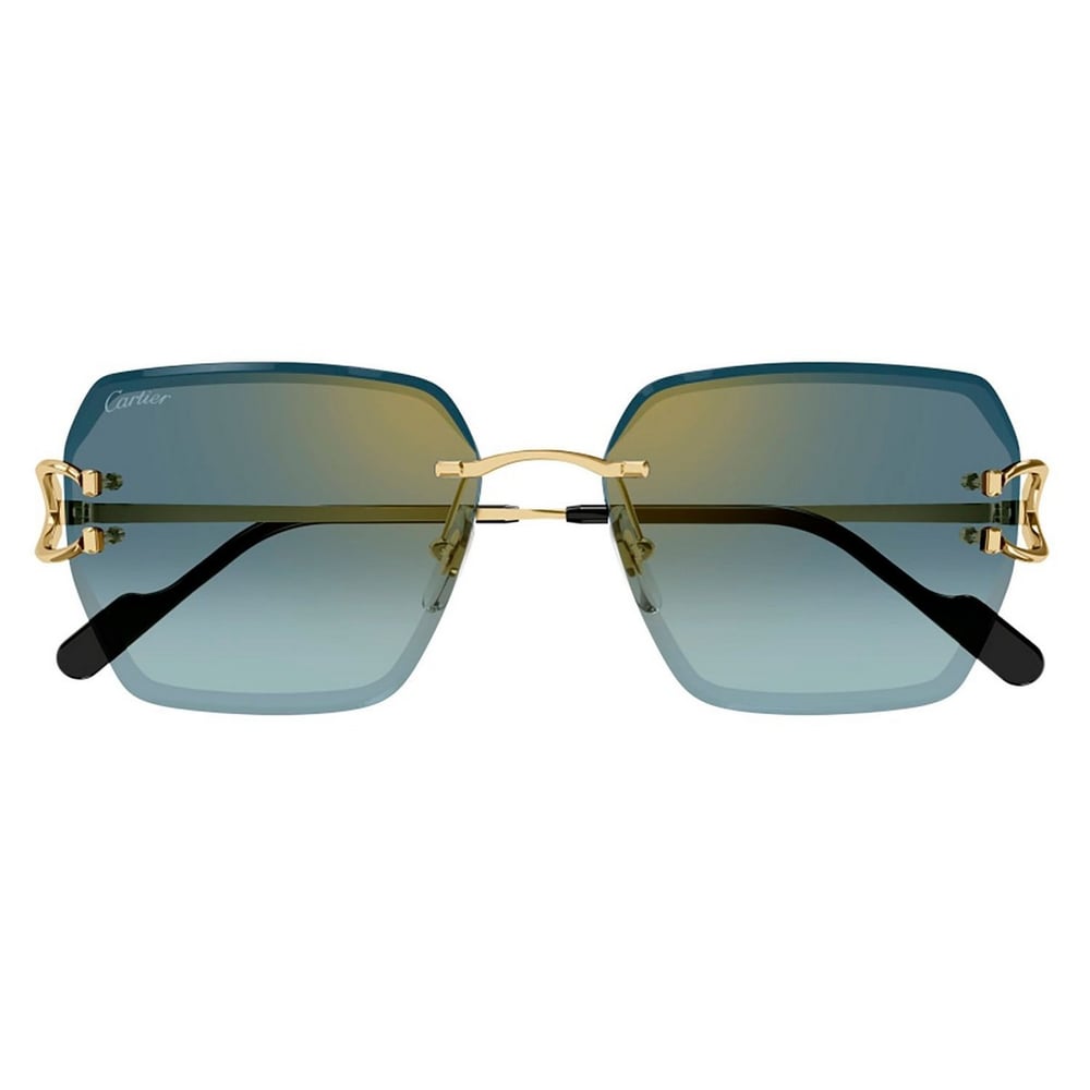 CARTIER CT0466S 58