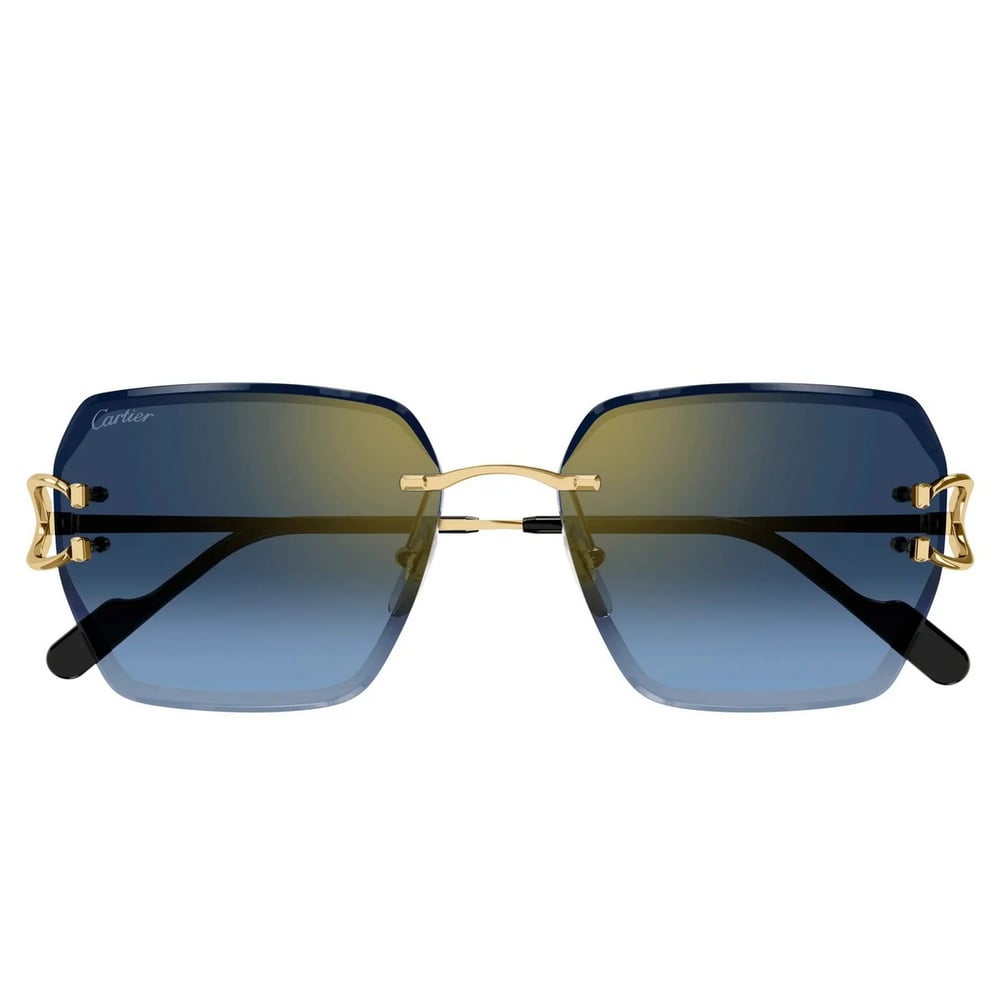 CARTIER CT0466S 58