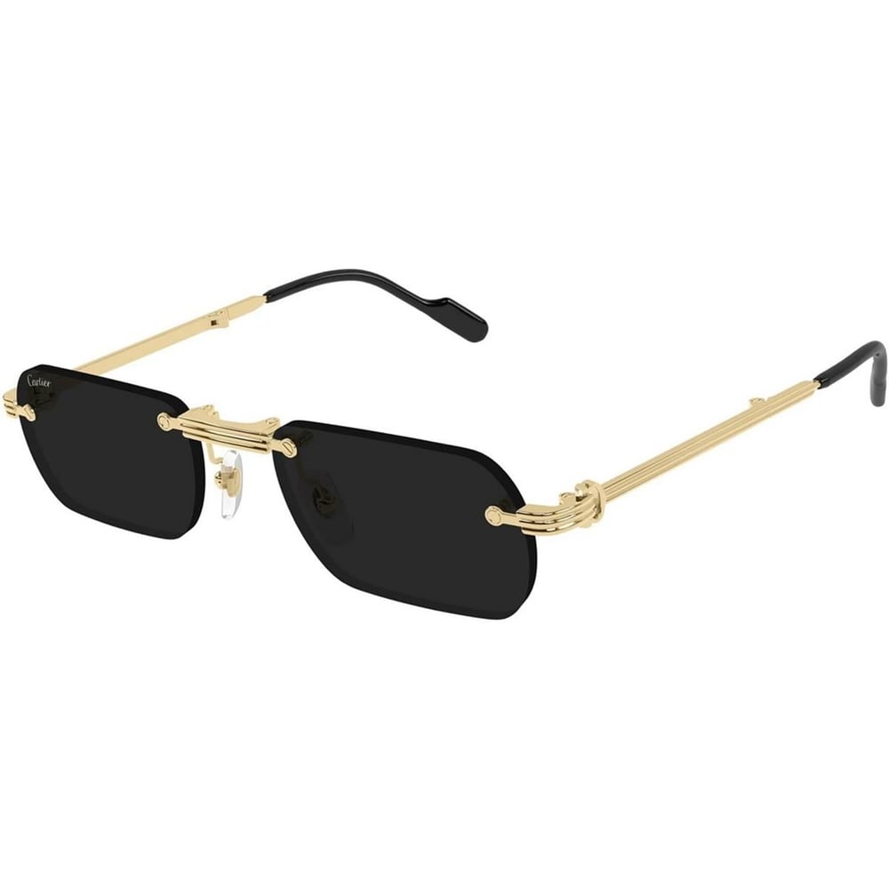 CARTIER CT0499S 55