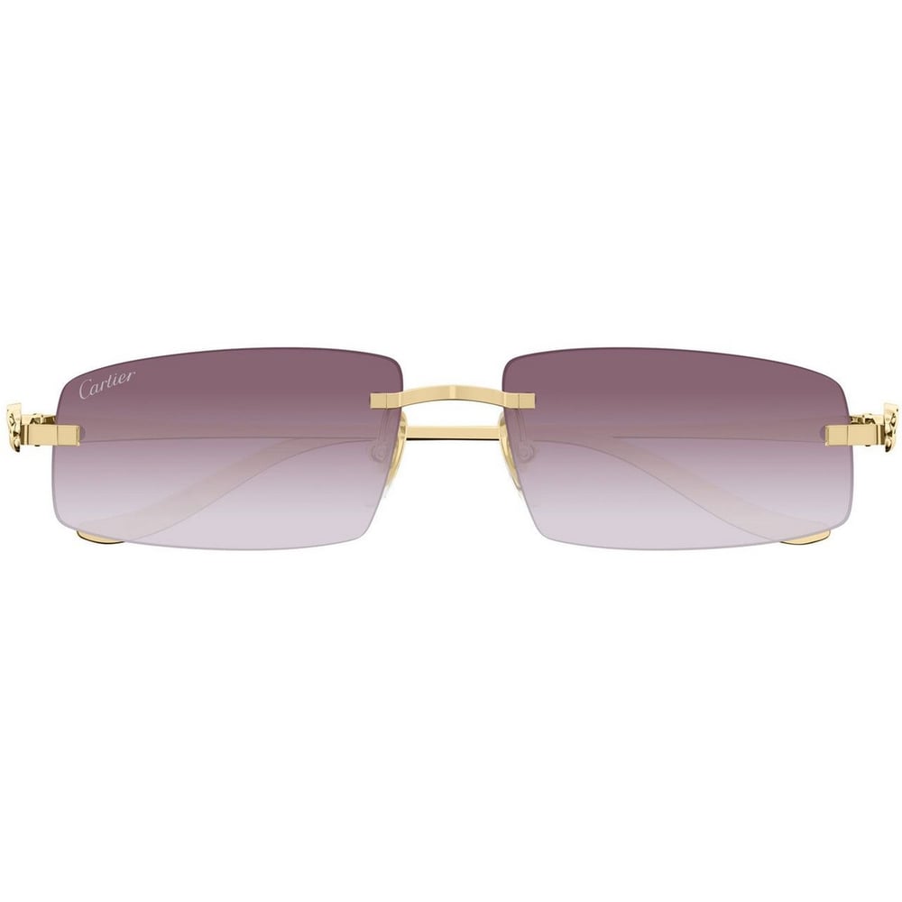 CARTIER CT0505S 58