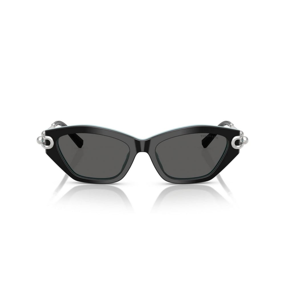 TIFFANY&CO TF4231U 53